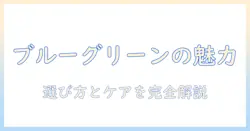 ウィッグで楽しむブルーグリーンカラー完全ガイド:選び方とケアのコツ