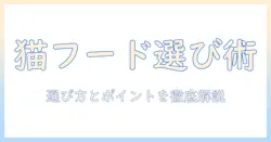 キャットフードは何がいい？選び方のポイントとおすすめを解説