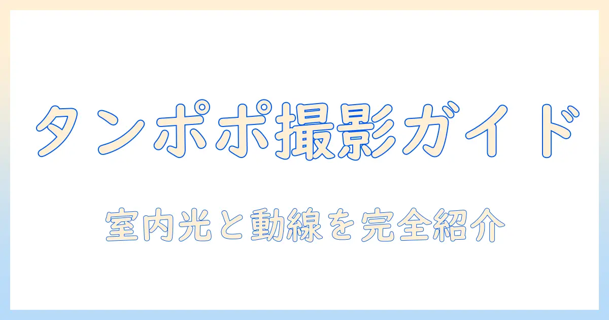 ゲームセンター タンポポ 写真で学ぶ撮影スポットと店内の雰囲気ガイド