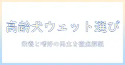 高齢犬のためのドッグフードとウェットフードの選び方