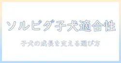 ソルビダのドッグフードは子犬に適しているか？選び方とポイント