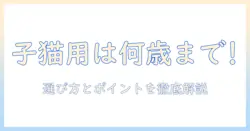 ビューティープロのキャットフードは子猫用で12ヵ月頃まで使える？選び方とポイント