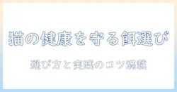 ユニ チャーム キャットフード フィジカ ライフで猫の健康を守る選び方と実践ガイド
