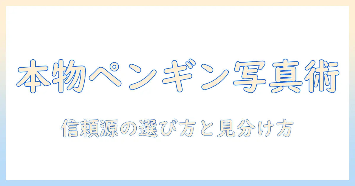 本物のペンギンの写真を見つける方法と高品質な写真を選ぶコツ