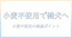 ドッグフード工房と小麦不使用で選ぶ、愛犬の健康を守るドッグフードの選び方