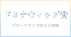 ドミナのウィッグで叶えるブロー仕上げとライブ演出術