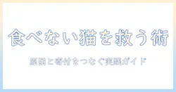 キャットフードを食べない猫の対策と寄付の方法を解説—飼い主が知っておくべきポイントを紹介