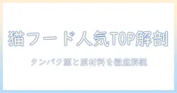 猫のキャットフード人気ランキングと選び方のコツ｜猫に選ばれる人気キャットフードを徹底解説
