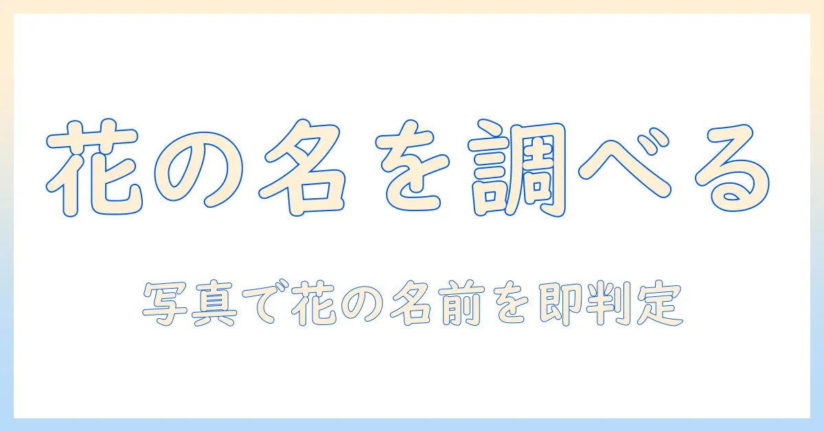 花 の 写真 調べる アプリで花の名前を調べる方法とおすすめアプリ