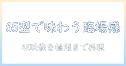 ソニー(sony)の65v型 4k 液晶 テレビ ブラビアxrj-65x90lを徹底解説:65v型の魅力と4k映像を体感する方法