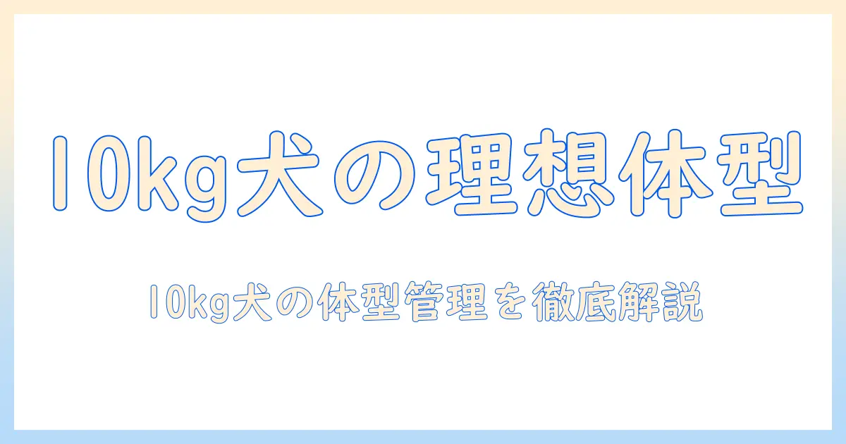ボディとバランスを整える10キロ犬向けドッグフードの選び方：徹底ガイド