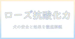 ドッグフードの酸化防止剤としてのローズマリー抽出物を徹底解説:安全性・効果・選び方