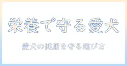 ドッグフードと栄養素を徹底解説:愛犬の健康を守るための適切な選び方と栄養の基礎知識