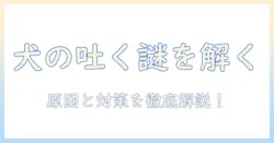 犬がドッグフードを吐く理由とは?原因と対策を解説する記事
