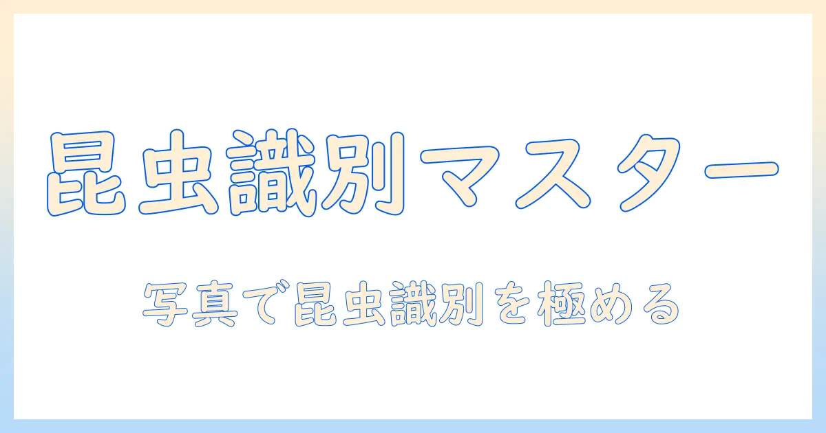 昆虫 図鑑 写真 アプリで学ぶ初心者ガイド：写真で昆虫を識別するコツとおすすめアプリ
