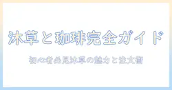 珈琲と沐草のメニューを徹底解説:初心者にもわかる珈琲の魅力と沐草のおすすめメニュー