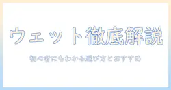 ウェットとキャットフードの人気ランキング徹底解説：初心者にもわかる選び方とおすすめ商品