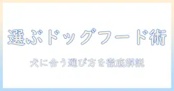 ドッグフードの種類を知って正しく変える方法｜犬の健康を守る選び方ガイド