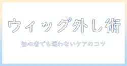 初心者向けガイド:ウィッグのパーツの取り外し方とケアのコツ