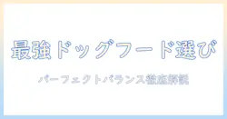 ドッグフードの選び方完全ガイド|パーフェクトバランスの特徴と選び方ポイント