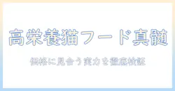 栄養と価を見極める：高いキャットフードの真価と選び方