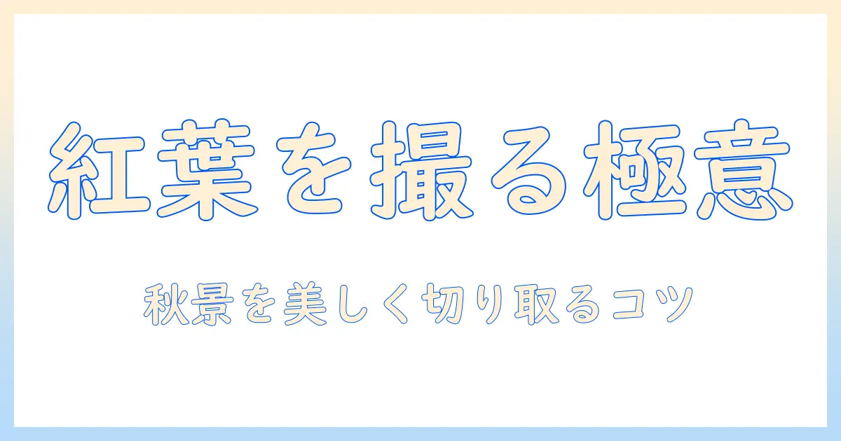 紅葉の写真を撮る人の撮り方ガイド:初心者が秋の風景を美しく捉えるコツ