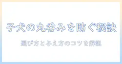 子犬がドッグフードを丸呑みしないための対策｜選び方と与え方のコツ