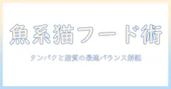 キャットフードの魚系を選ぶときのポイントとおすすめ商品ガイド