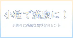 ドッグフードを小粒で選ぶ理由—小型犬に適した小粒ドッグフードの選び方とポイント