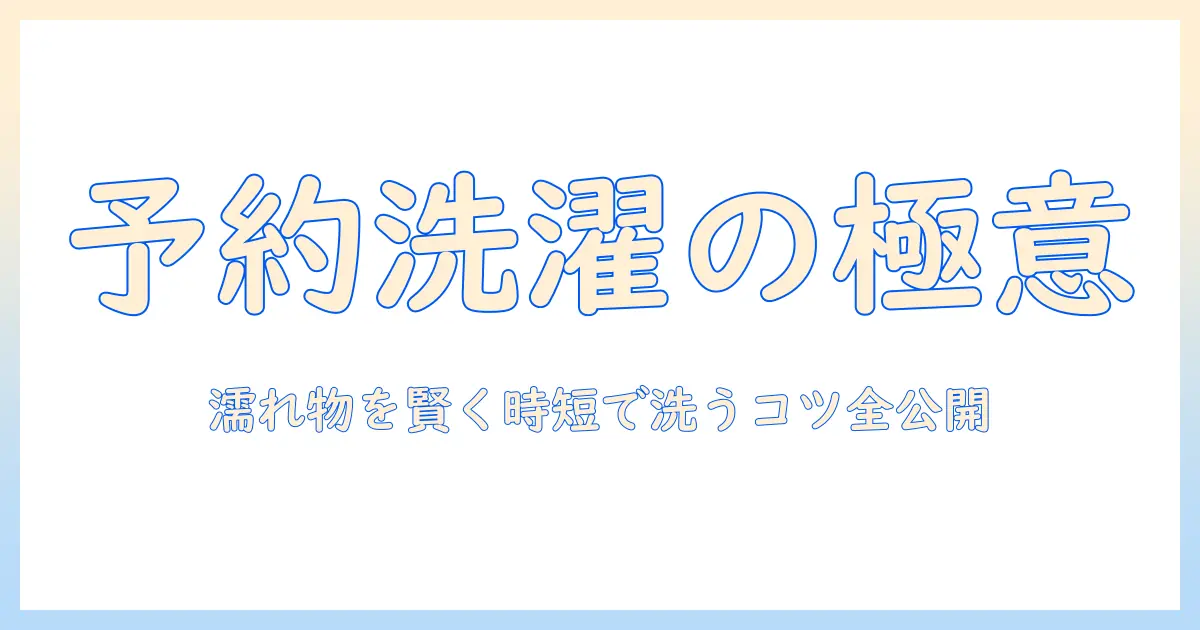 洗濯機の予約で濡れたものを効率よく洗う方法