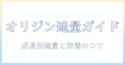 オリジンのドッグフードをパピーに与える際の適切な量と選び方ガイド