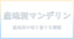 コーヒーと豆で学ぶマンデリンの産地別特徴と味の違いガイド