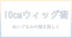 ぬいぐるみ用10cmのウィッグの選び方とつけ方ガイド