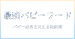 ボーダーコリーのパピーに最適なドッグフードを選ぶポイントと与え方ガイド