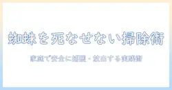 蜘蛛を掃除機で死なないように対処する方法—家庭での安全と実践ガイド
