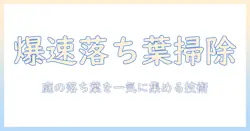 落ち葉対策に最適な掃除機とバキュームの選び方と使い方