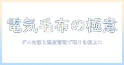 電気毛布の使い方とダニ退治、適正な温度で快適に眠るためのガイド