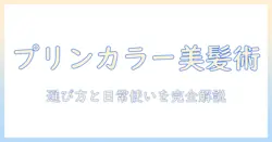 ウィッグで楽しむプリンカラーの魅力と選び方