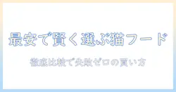 激安のドライ キャットフードを扱う店を徹底比較して賢く選ぶ方法