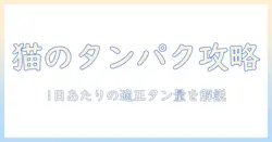 キャットフードのタンパク質と量を正しく把握する実践ガイド
