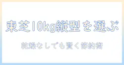東芝の縦型洗濯機で10kg・乾燥なしモデルを選ぶときのポイント
