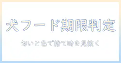 ドッグフードの賞味期限切れはいつまで大丈夫? 捨て時と見分け方を徹底解説
