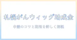 札幌 市 が ん ウィッグ 助成 金の申請ガイド—申請方法と対象条件を詳しく解説