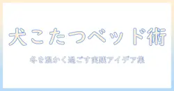 犬のこたつベッド活用術: 冬にぬくもりを保つ犬の快適スペース作り