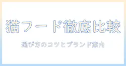 猫のキャットフードを比較して選ぶ際のポイントとおすすめブランドガイド