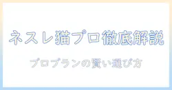 ネスレのキャットフード プロ プランを徹底解説:猫の健康を守る選び方と評判