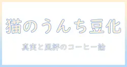 猫のうんちがコーヒー豆になる謎を解く:猫とコーヒーの関係を探る