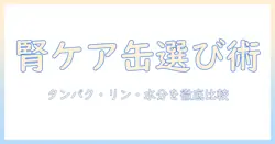 キャットフードの腎臓ケアに適したウェット食品の選び方とおすすめ