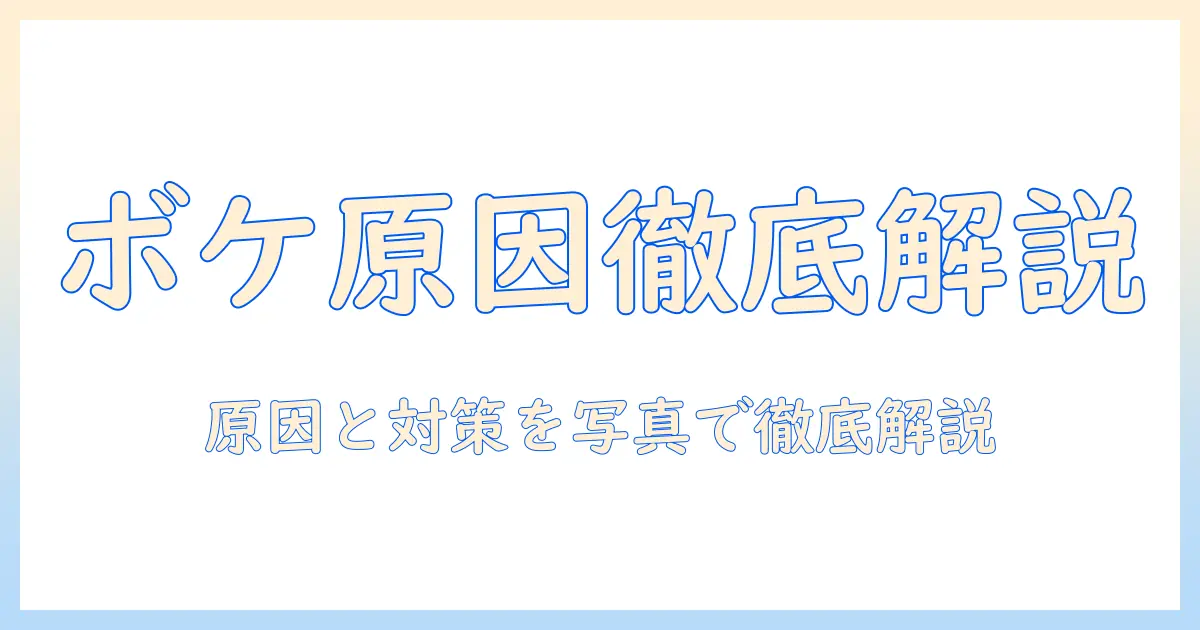 写真がボケる原因と直し方を徹底解説