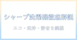 シャープの洗濯機 グレードを徹底解説｜エコ性・洗浄力・静音性で選ぶポイント